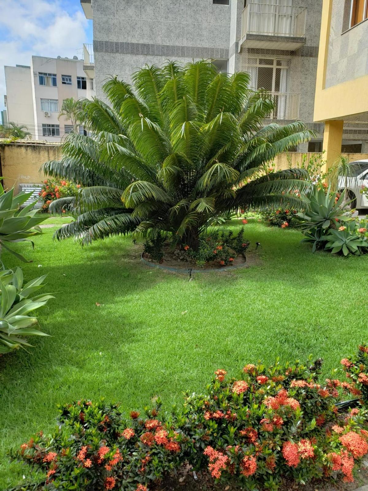 Localizacao Imbativel! A 98M Da Praia Do Forte Com Conforto, Ar-Condicionado E Estacionamento! Cabo Frio Extérieur photo